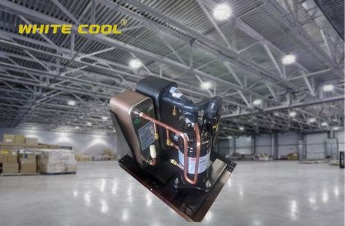 mAy-nEn-trUc-vIt-hitachi-4_thumb_500